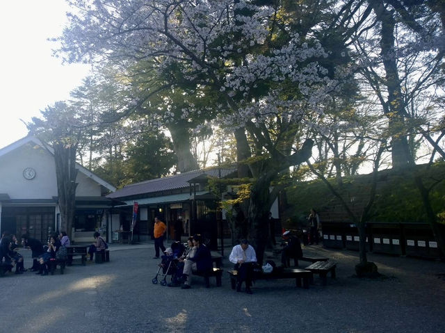 APRIL PANORAMA: MATSUMOTO’S MOUNTAIN BLOOM