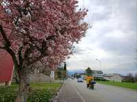 For one-day in Liechtenstein,small yet beautiful country 
