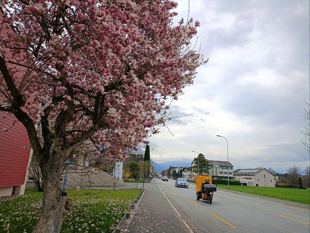For one-day in Liechtenstein,small yet beautiful country 