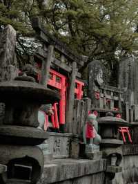 Fushimi Inari Taisha, Kyoto, Japan 🇯🇵 