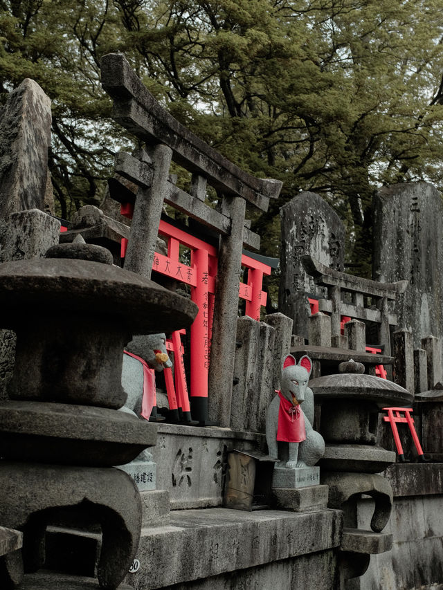 Fushimi Inari Taisha, Kyoto, Japan 🇯🇵 