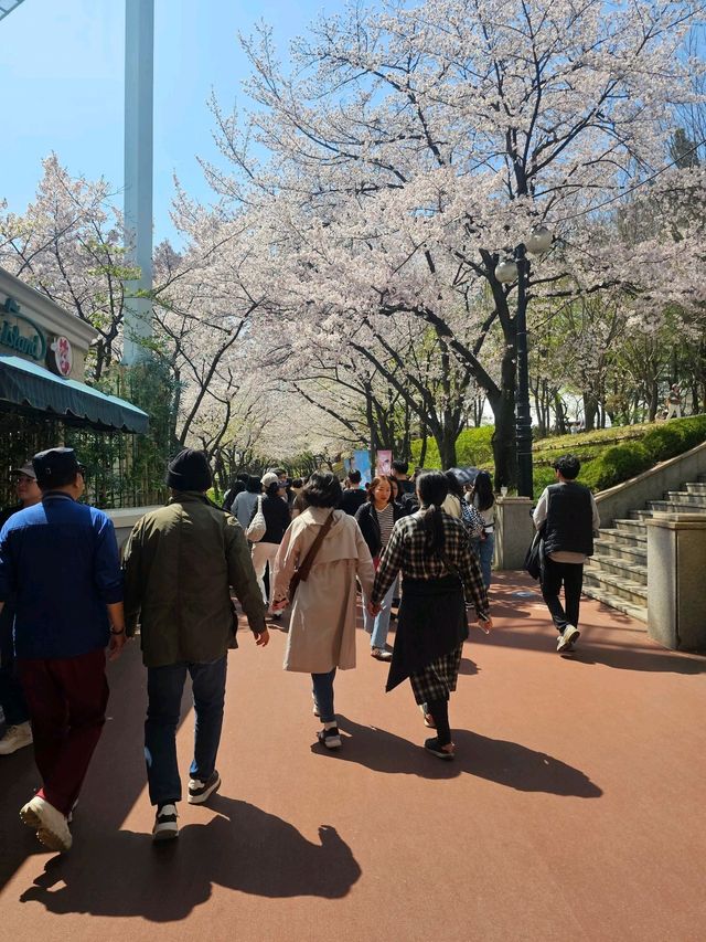 Seoul Day Trip Itinerary