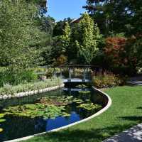 Peaceful Retreat – Royal Botanical Gardens in Late Summer 