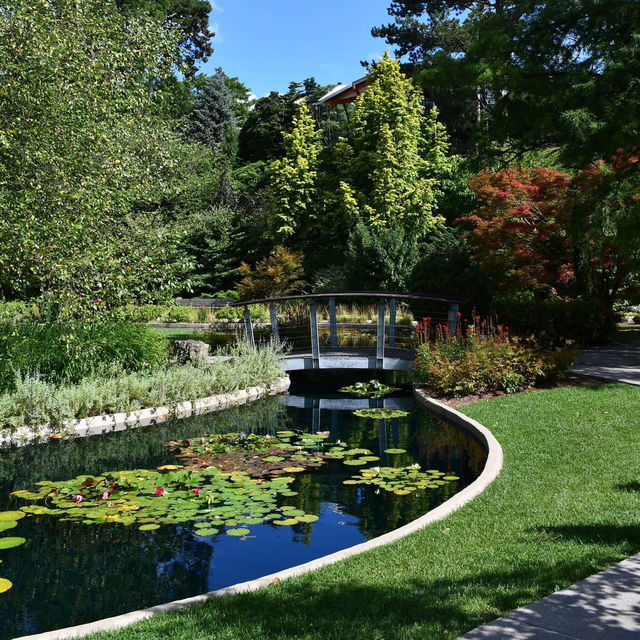 Peaceful Retreat – Royal Botanical Gardens in Late Summer 