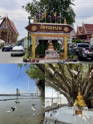 Wat Thong Bon: A beautiful temple by the Chao Phraya River