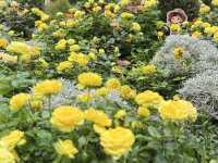 Wondrous Bloom แลนด์มาร์กใหม่ระยอง