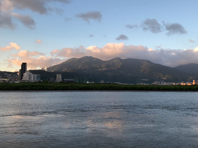 社子島島頭公園｜台北市區的濕地秘境，270度河景與生態交響的完美融合 