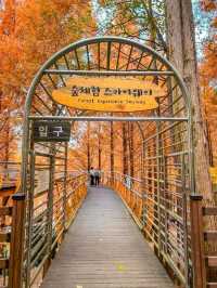 Title: Daejeon – South Korea’s Smart City with a Soul
