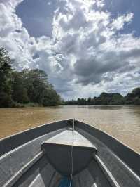 Kinabatangan River: An Emerald Jungle Adventure, Rain or Shine!