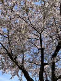 Spring at Lake Toya
