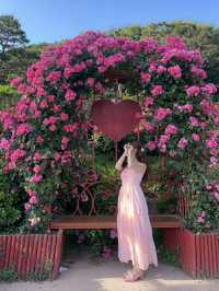 Incheon: Korea’s Coastal Gateway in Full Bloom