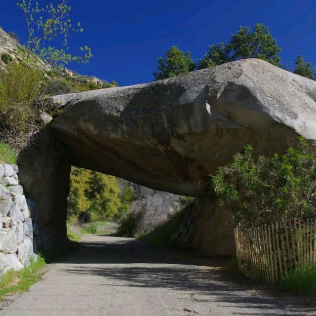 Sequoia National Park – CA