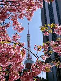 Maruyama Park