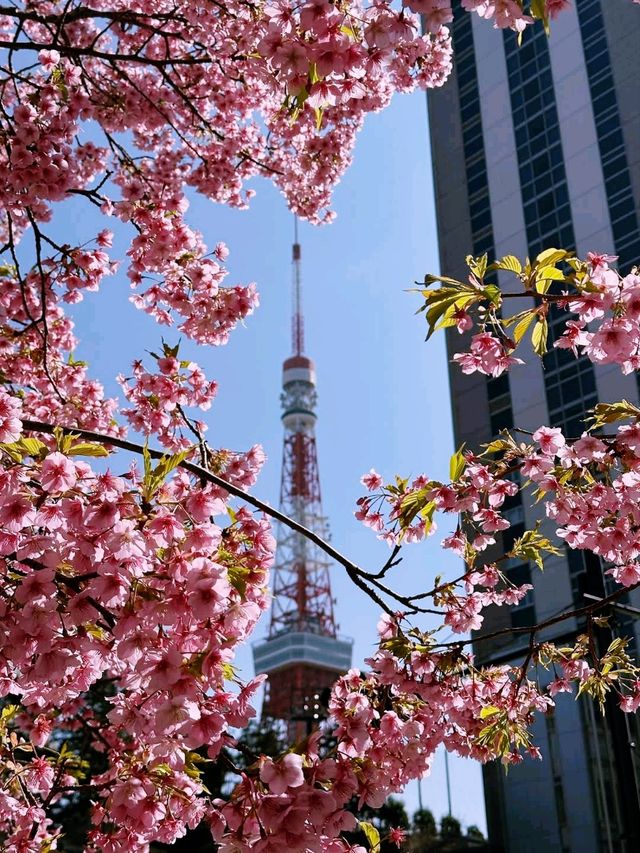 Maruyama Park