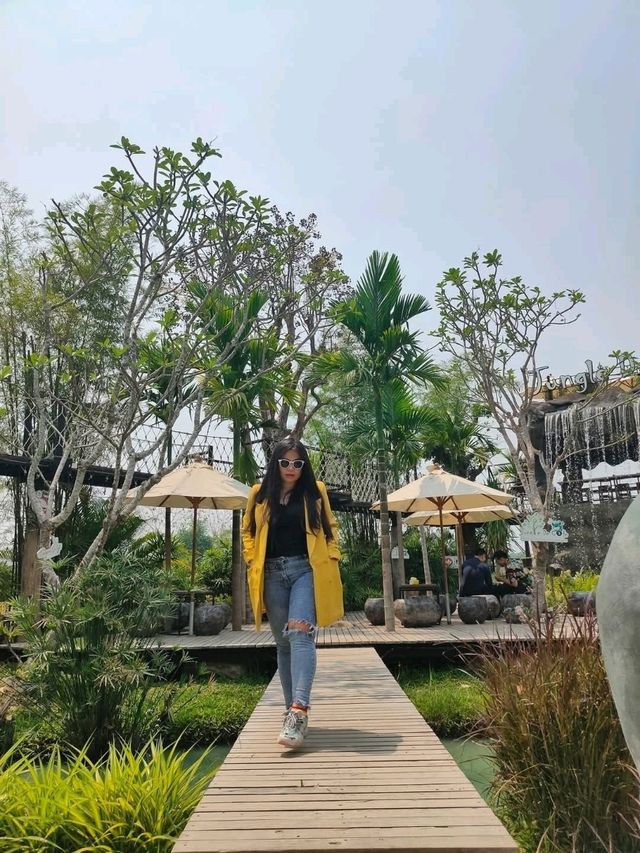 jungle de cafe เชียงใหม่ สาขาบ้านถวาย