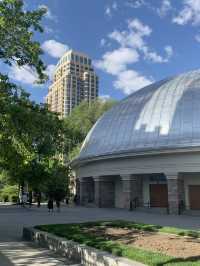 A Spring Morning at the Salt Lake Temple: Blooms and Serenity