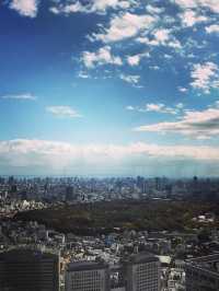 Tokyo Metropolitan 
