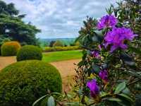 Flower in Bloom at Ascott: A Dreamy English Garden Escape