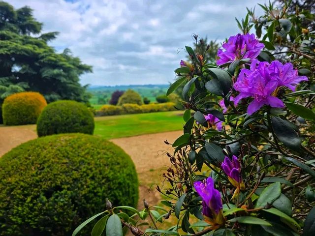 Flower in Bloom at Ascott: A Dreamy English Garden Escape