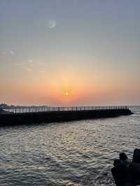 🍊 Hugely Café Jeju – A Sweet Slice of Coastal Bliss