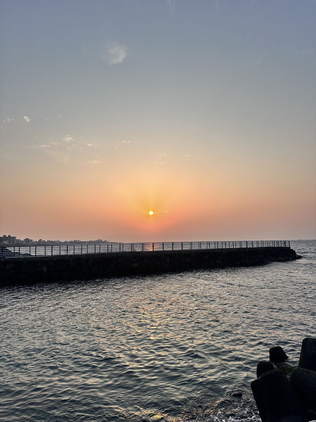 🍊 Hugely Café Jeju – A Sweet Slice of Coastal Bliss