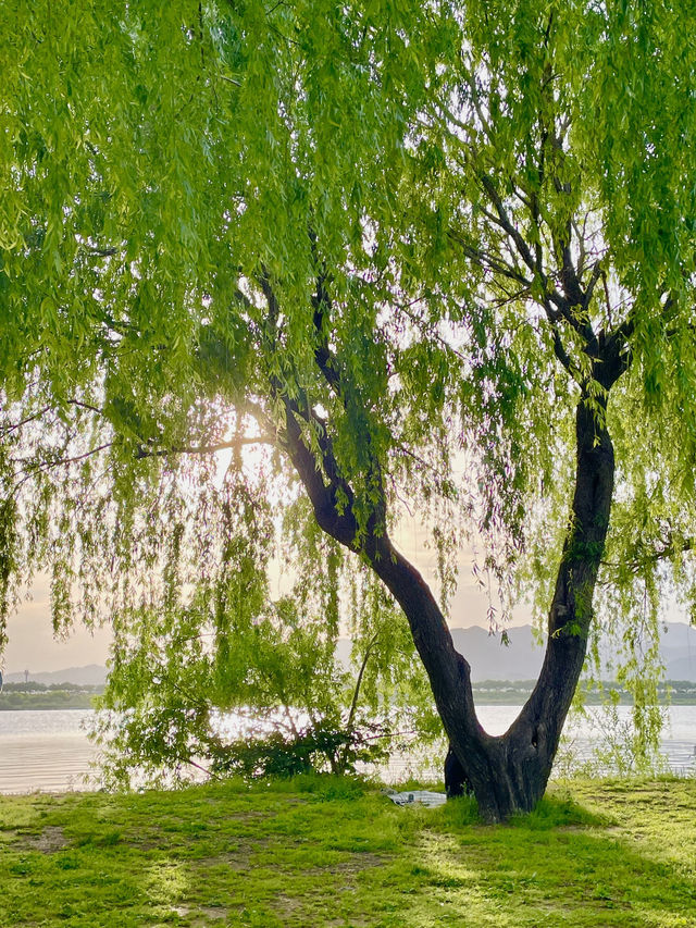 부산 피크닉 명소는 여기야 여기! 🍀🌿🌱☘️