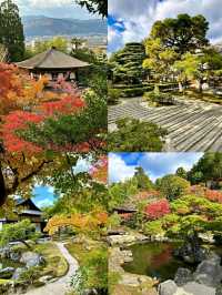 Discovering Kyoto: The Timeless Cultural Heart of Japan