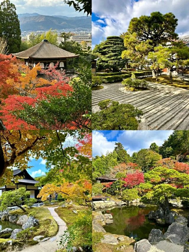 Discovering Kyoto: The Timeless Cultural Heart of Japan