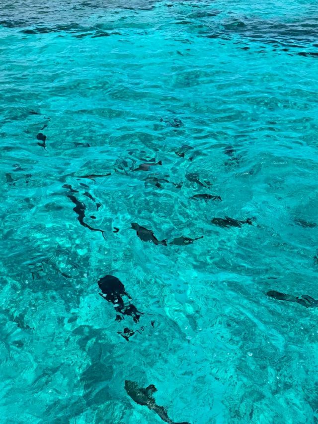 Miyakojima – Tropical Paradise in Okinawa, Japan