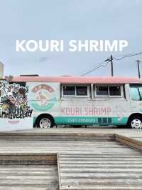 古宇利島　KOURI SHRIMP 