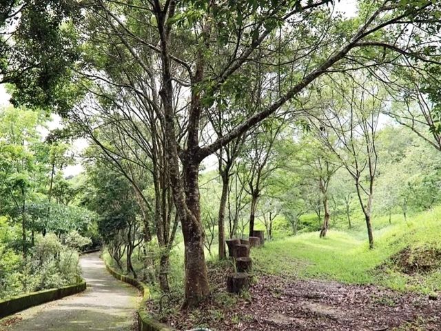 要來推薦一家在台中東勢景點，很適合家庭旅遊-東勢林場，東勢林場就位於台中的郊區，東勢林場可是擁有台中最美麗森步道和體能訓練營的地方，來這邊可以一次滿足住宿、親子設施、森林步道、和美食、晚上還可以夜間導