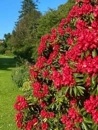 Altamont Gardens – Ireland’s Romantic Garden Jewel in County Carlow