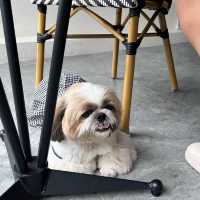 Demure cafe | อยุธยา