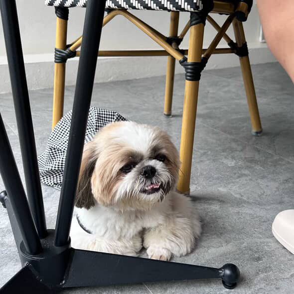 Demure cafe | อยุธยา