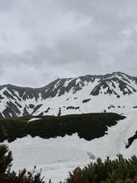 8日7夜 名古屋 立山黑部 飛驒之旅