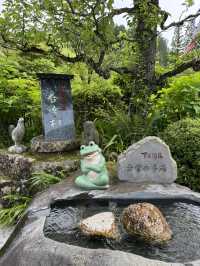 8日7夜 名古屋 立山黑部 飛驒之旅