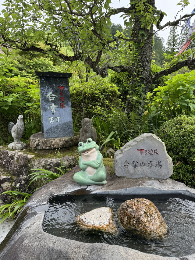 8日7夜 名古屋 立山黑部 飛驒之旅