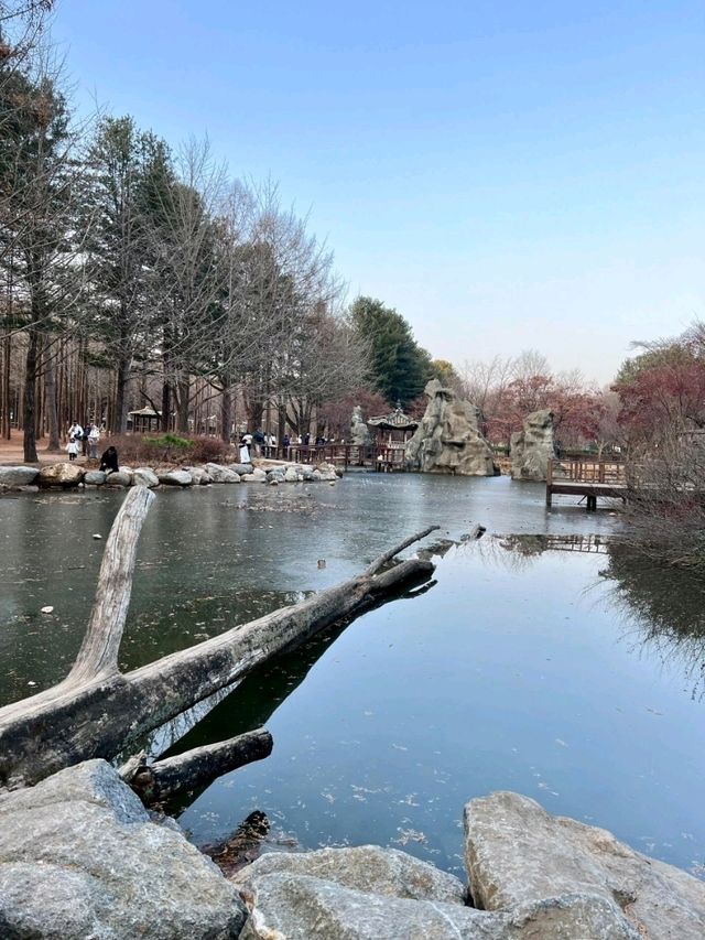 Nami Island: A Serene Escape