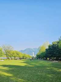 A Refreshing Escape to Misa lake Park (미사경정공원)