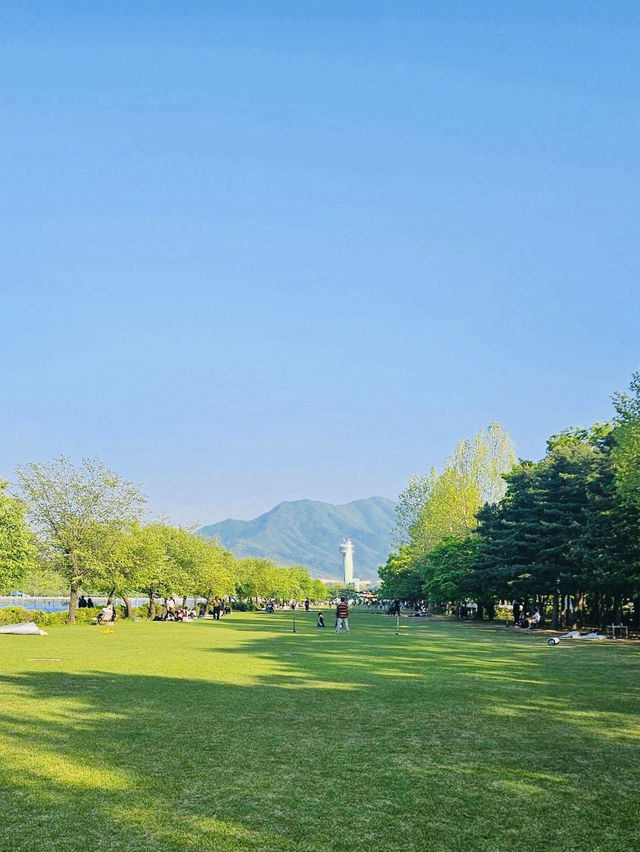 A Refreshing Escape to Misa lake Park (미사경정공원)