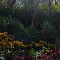 Tranquil Escape at Fitzroy Gardens, Melbourne