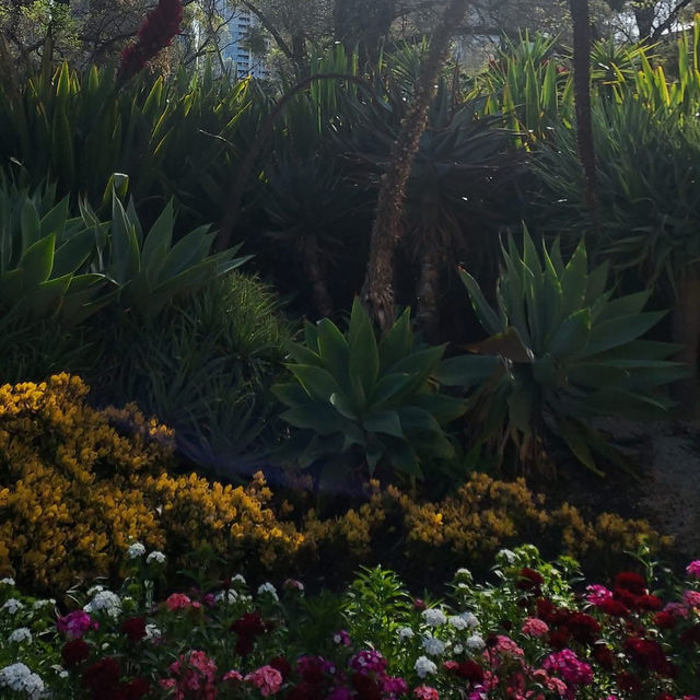 Tranquil Escape at Fitzroy Gardens, Melbourne