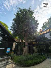 Café Amazon Concept Store อยุธยา: คาเฟ่สวย ร่มรื่น