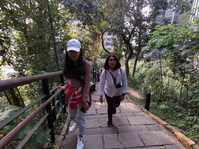 ชมวิวเมืองไทเป บนเขาช้าง ⛰️