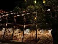Buyi Village by Night – Where Firelight Meets Folklore Under a Starry Sky