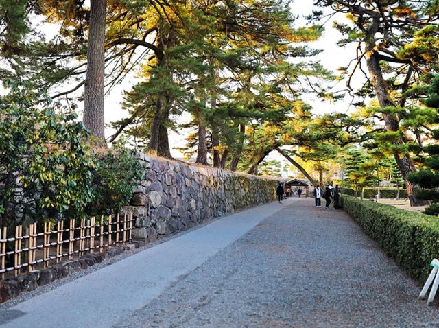 【🇯🇵高松】朝の静寂に包まれた玉藻公園で心穏やかなひとときを