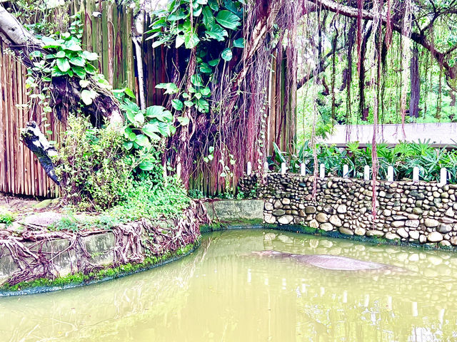 ［新竹旅遊］新竹市立動物園-親子共遊好去處🐒