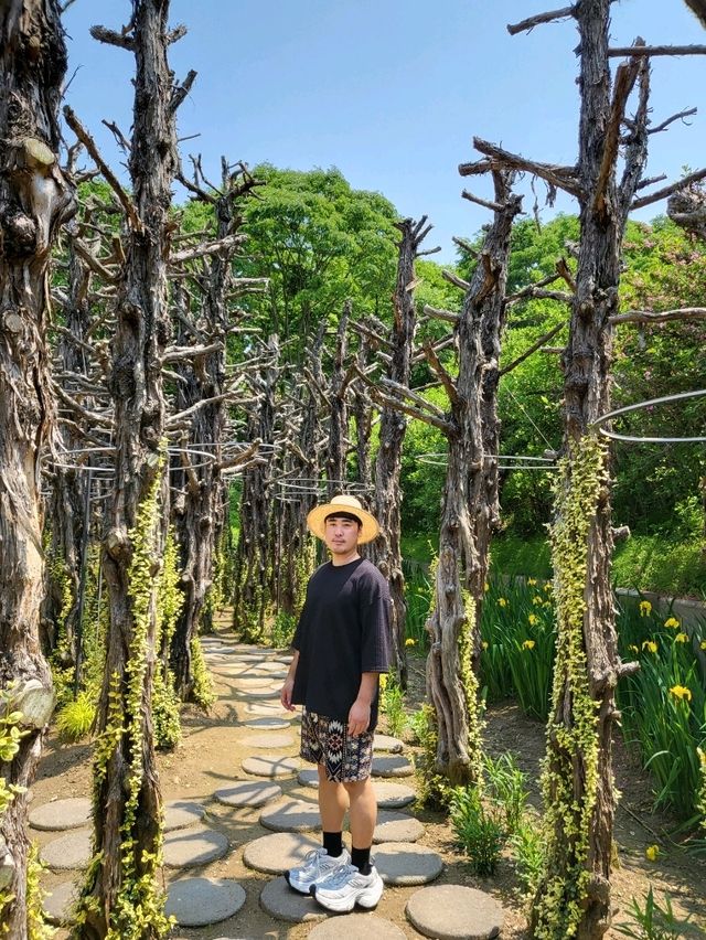 봄이라 더 예쁜 스팟들이 가득한 숲속 힐링공원