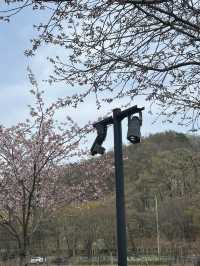 🌿 도심 속 작은 호수, 명암저수지에서의 여유로운 산책