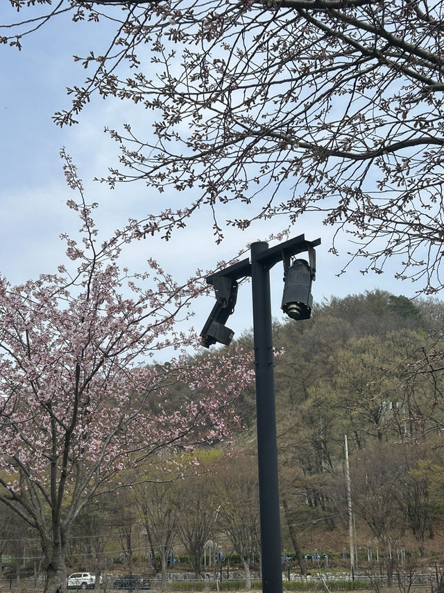 🌿 도심 속 작은 호수, 명암저수지에서의 여유로운 산책